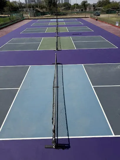 Young Leaders Pickleball Club — Pickleball in Balola