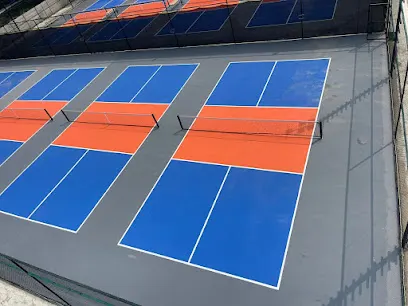 Vinayak pickleball and box cricket arena — Pickleball in Thaltej