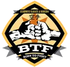Born to fight school of martial arts Palavakkam