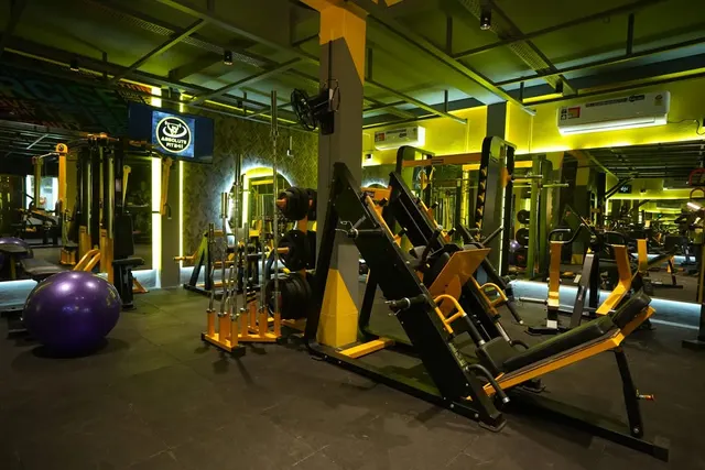 Absolute Fit 24
