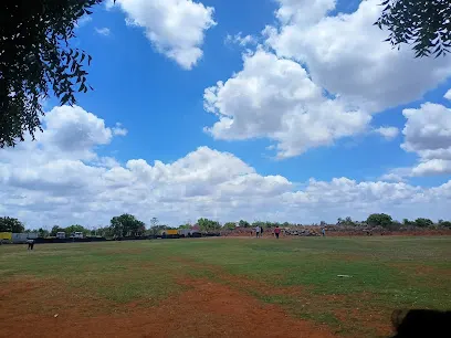 Harsha Cricket Ground — Cricket in Toli Chowki