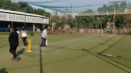 Stump'd Box Cricket — Cricket in Sector 44