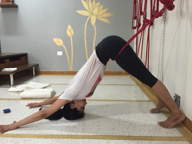 Iyengar Yogamandala — Yoga in Qutab Institutional Area