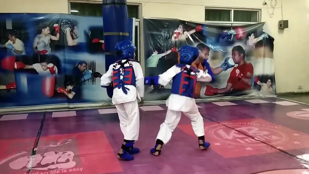 Free Martial Arts Classes — Martial Arts in Nangloi