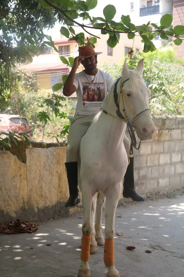 SGP Horse Riding School — Horse Riding in Maruthi Sevanagar