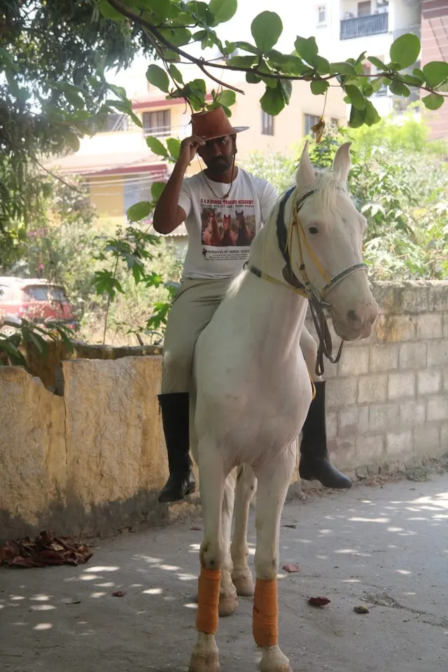 SGP Horse Riding School — Horse Riding in Maruthi Sevanagar