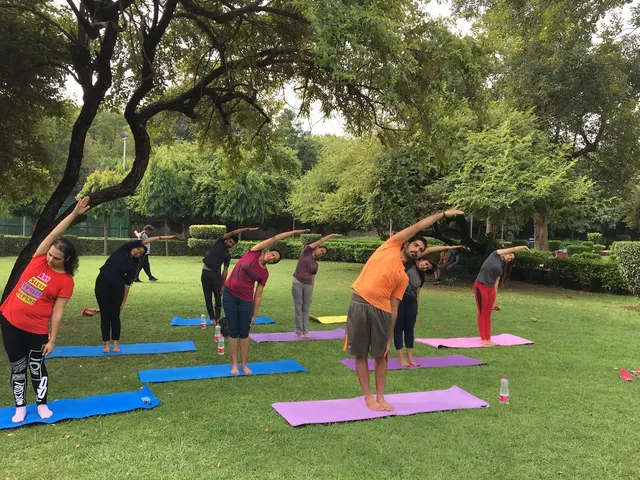 Apex Yoga Studio — Yoga in Naraina
