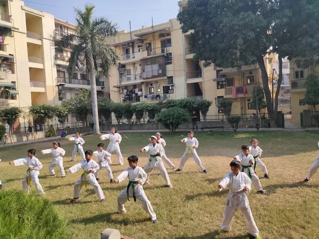 MMA Sanshinkan Martial Arts & Fitness Center — Martial Arts in Nilothi