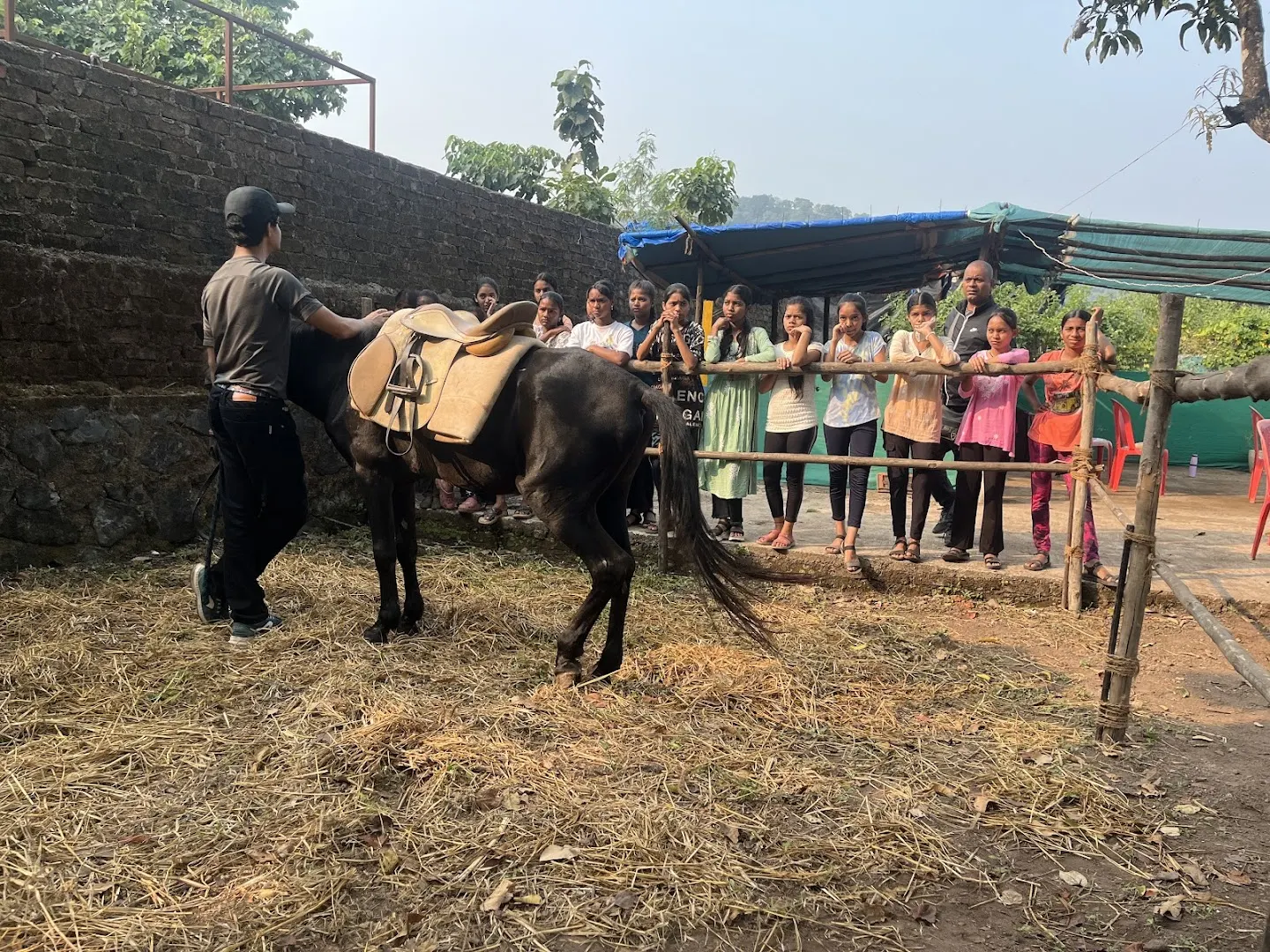 Paradise Horse Riding Club photo 1