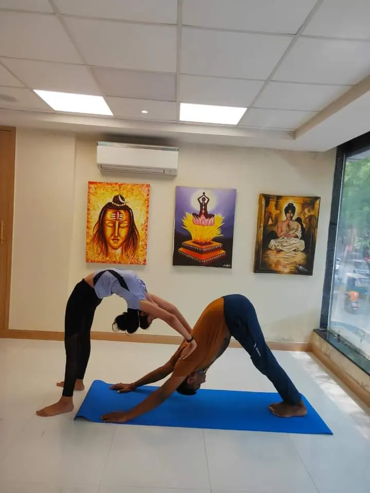 Yoga and Sanskrit teacher for home classes — Yoga in Hastsal