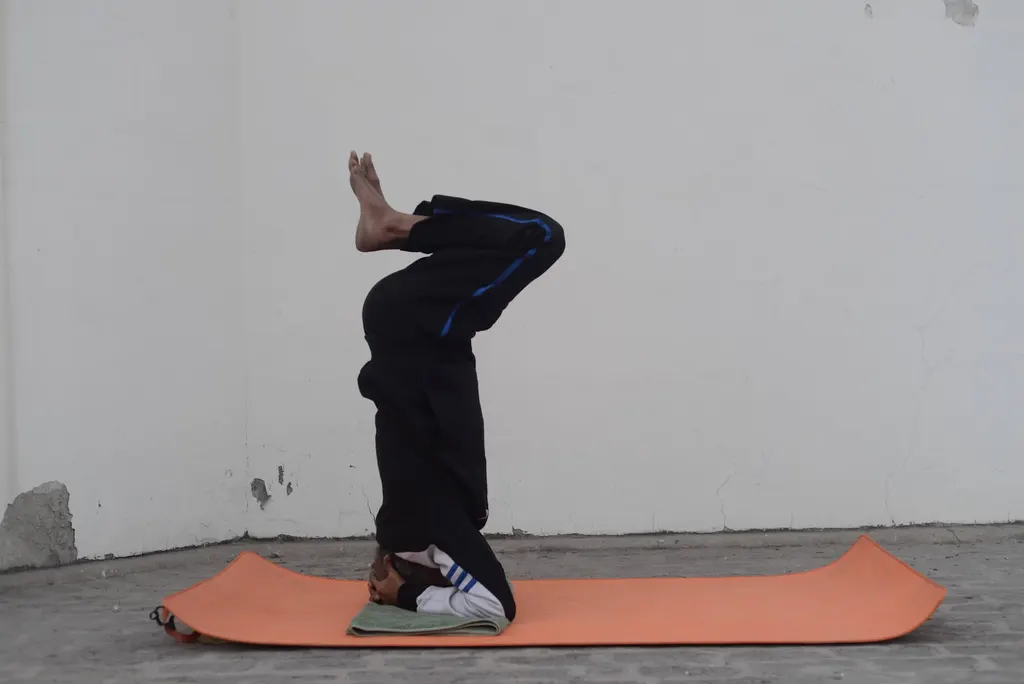 YOGA classes online for Lifestyle reformation — Yoga in Sector 49