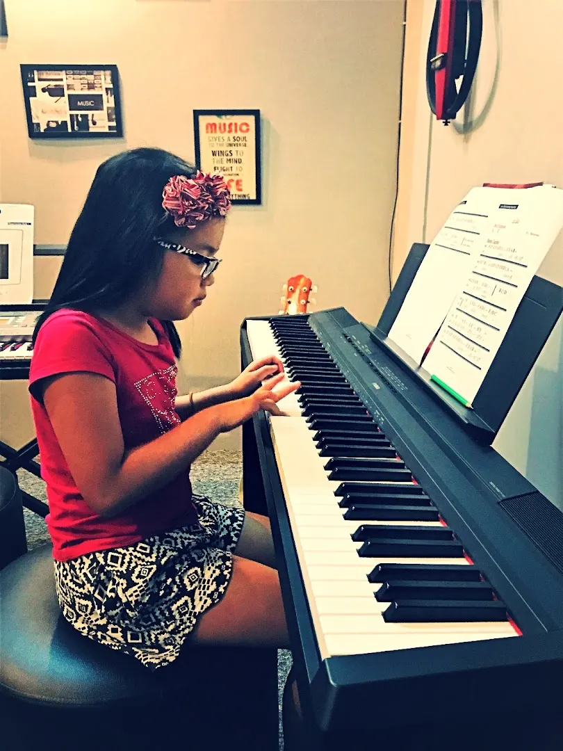MusicPulse photo 1