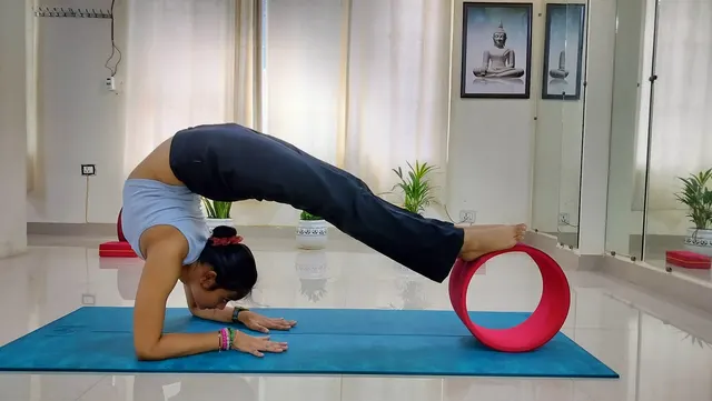 Bookmyyoga Wellness Centre — Yoga in Sector 10