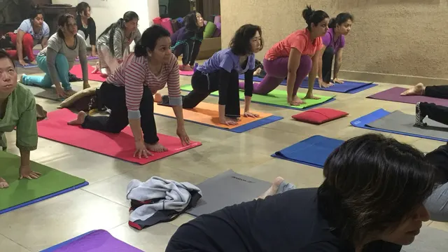 EKAGRATA — Yoga in Sector 55
