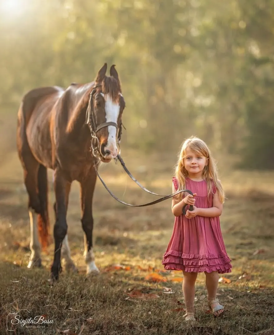 Stallion's Valley School of Lifestyle — Horse Riding in JP Nagar