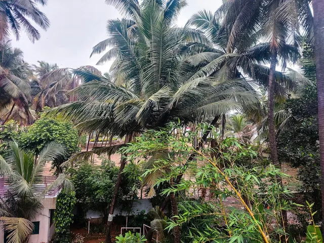 Dharte Yoga Shala — Yoga in Madh