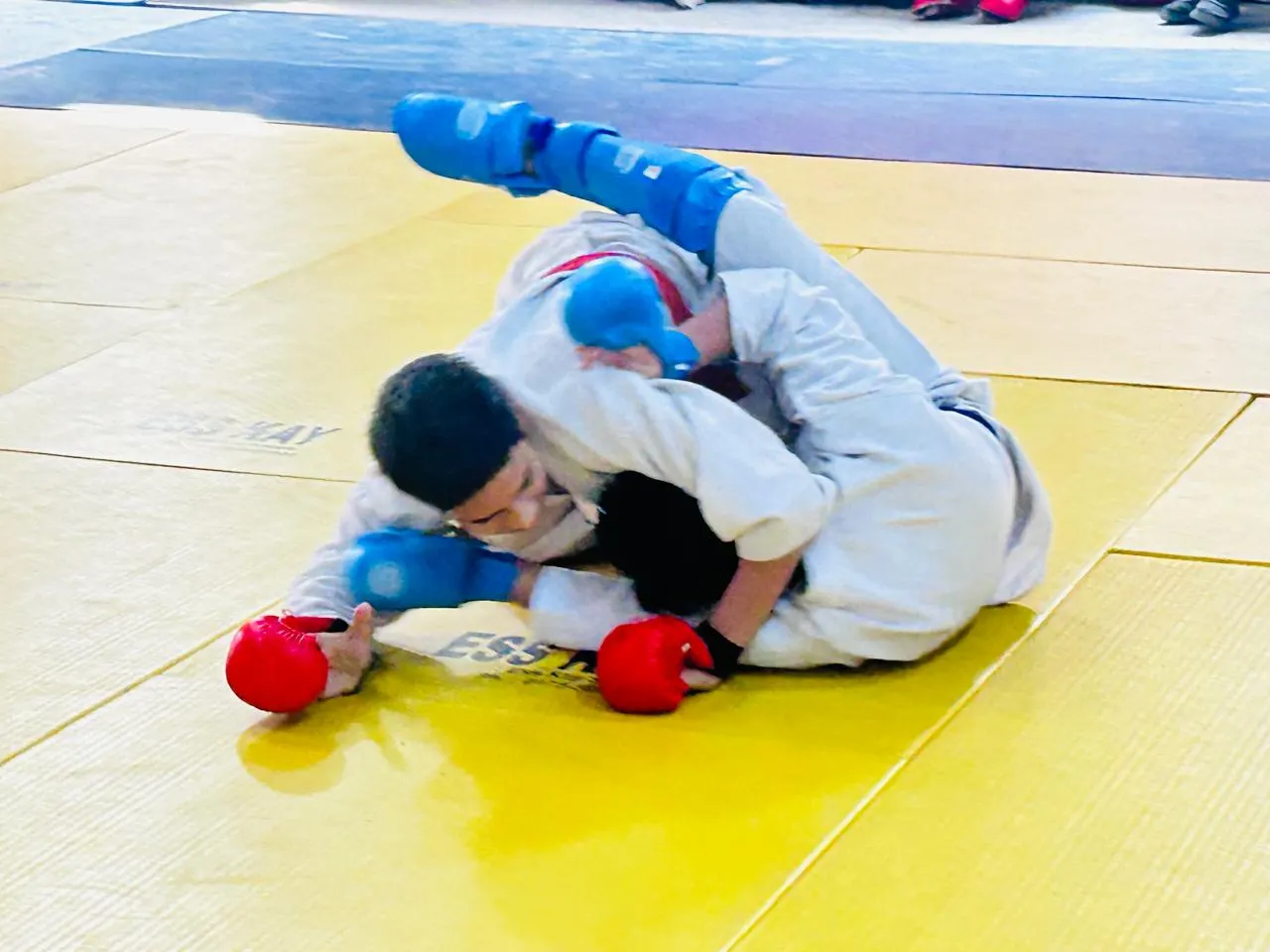 Chauhan Martial Arts Academy photo 1