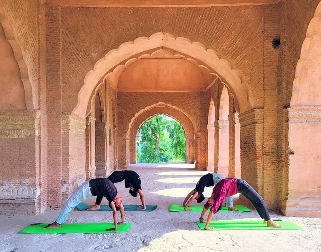The Yogic Life — Yoga in Sector 63
