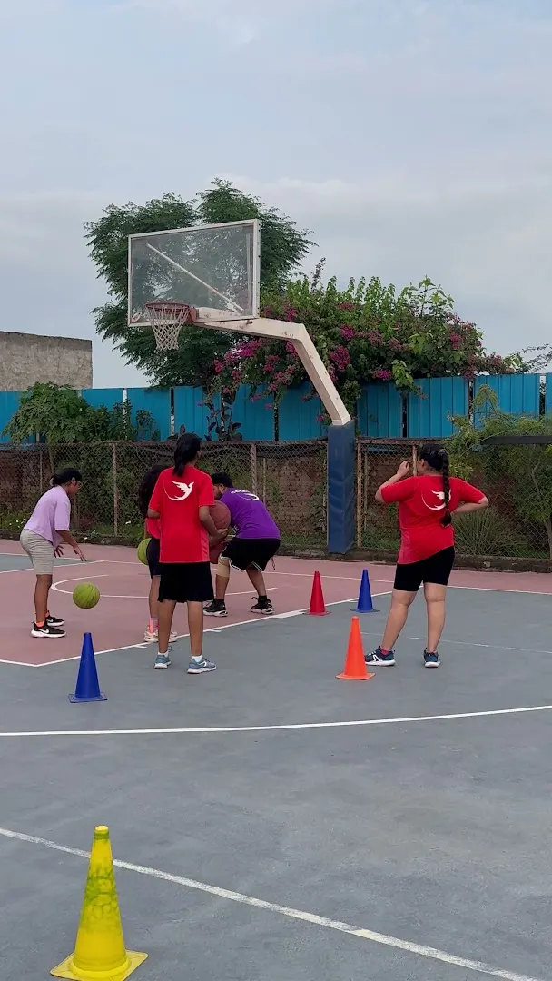 Insfire sports Golf Course Extension — Basketball in Golf Course Extension