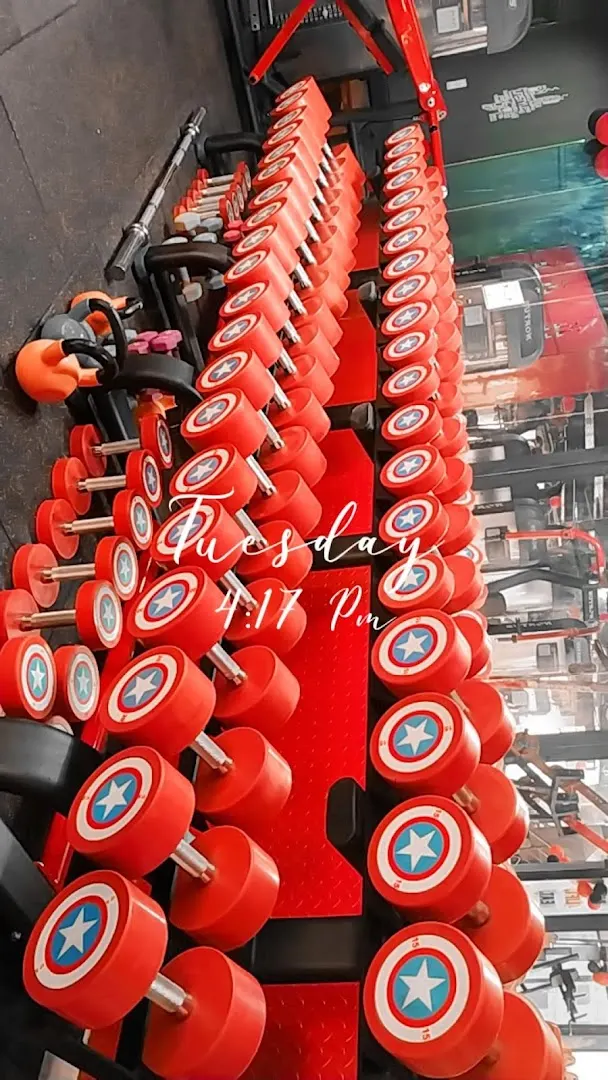 Fitness Theory — Fitness Center in Sector 110