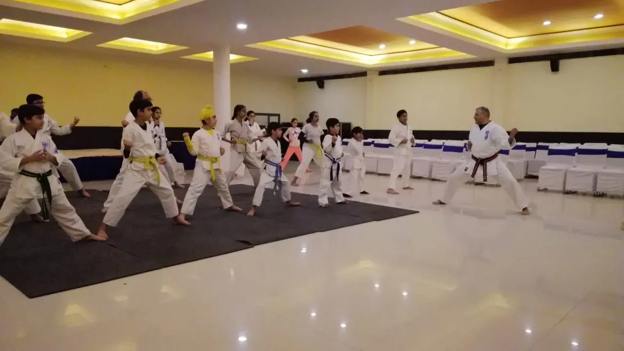 World Ukeireru Karate Organization photo 1