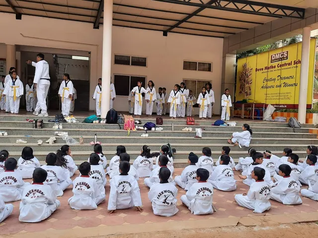 Indian Institute of Taekwondo and Self-Defence (Head Office) — Martial Arts in Horamavu