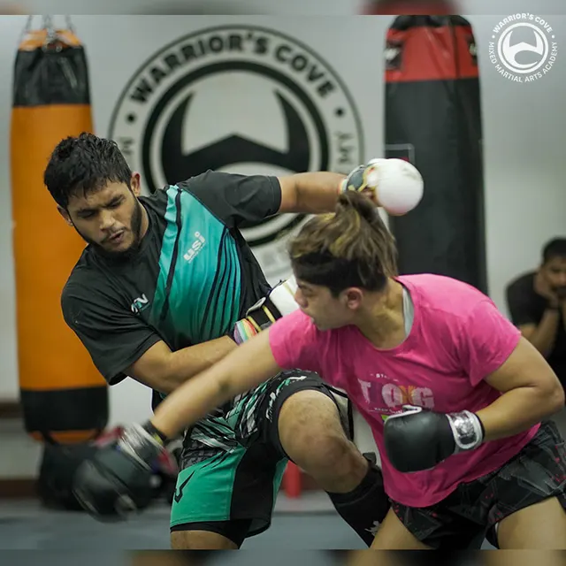 Warrior's Cove Mixed Martial Arts — Martial Arts in Sector 26A