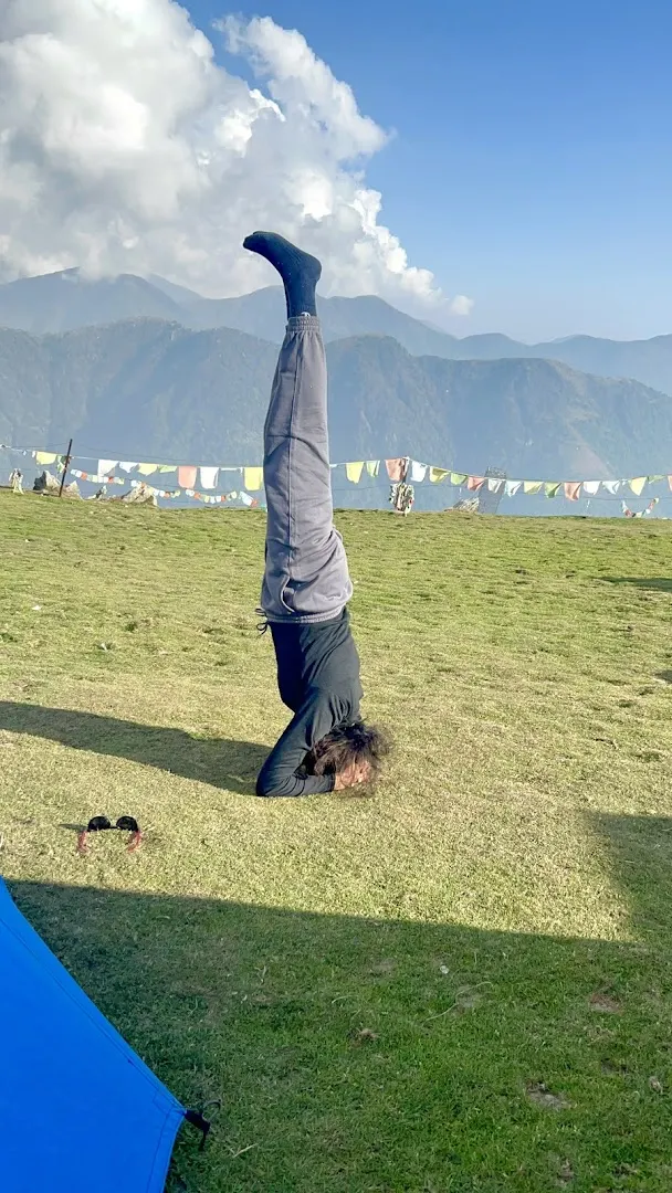 YogaFit wellness by Yamini — Yoga in Sector 50