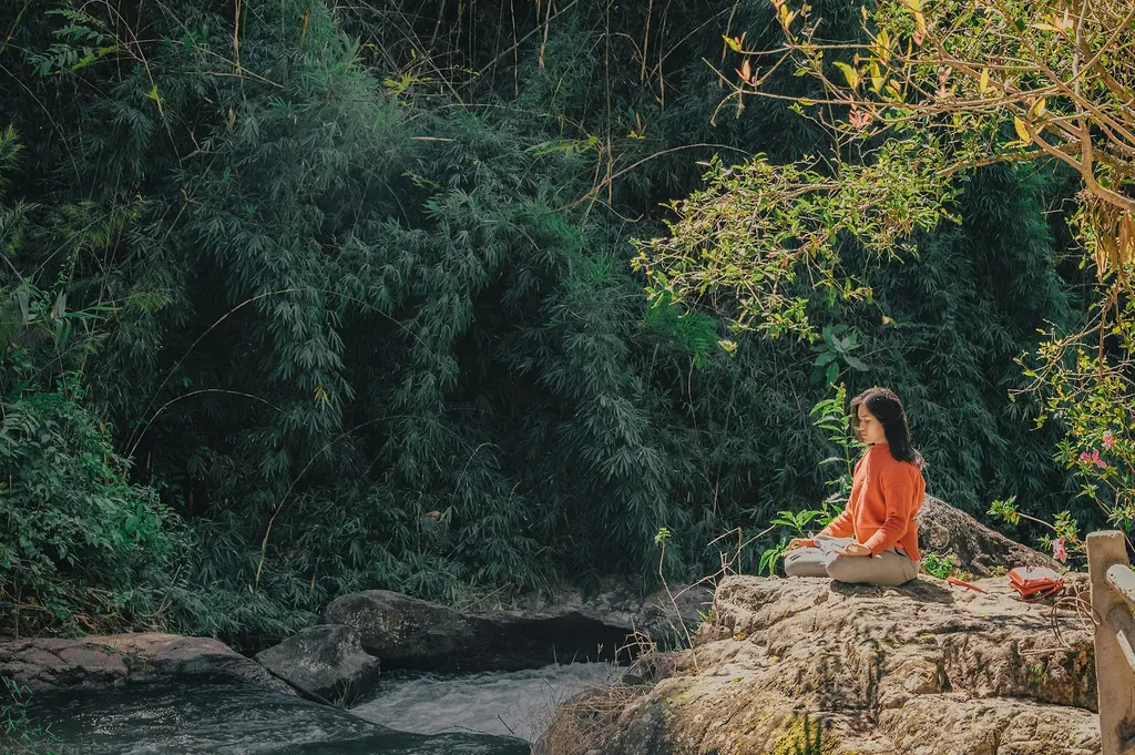 Divine Heart Soul — Yoga in Sector 29