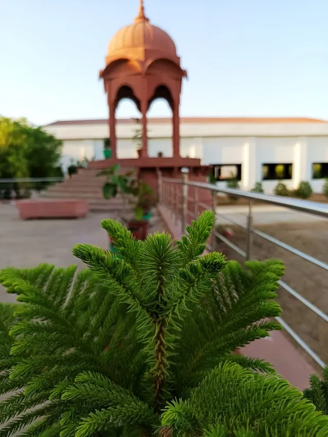 Balaji Yoga classes at home service available 🏡🧘 — Yoga in Sector 85