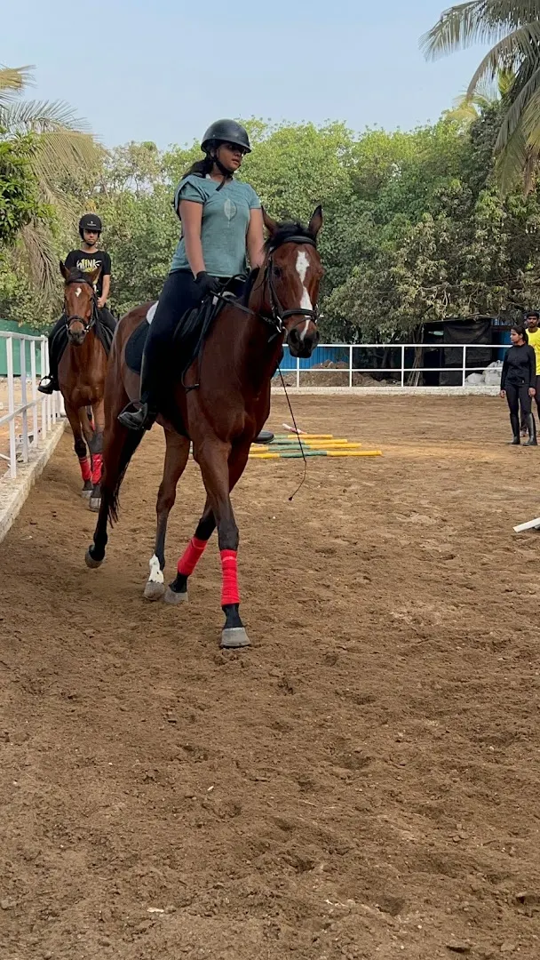 UK United Horse Riding Academy — Horse Riding in Malad West