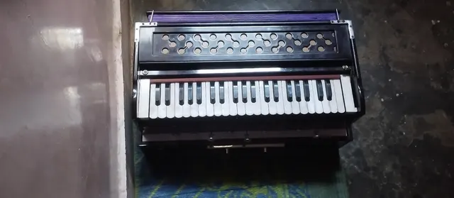 Sanatan Music Academy — Music in Sector 62A