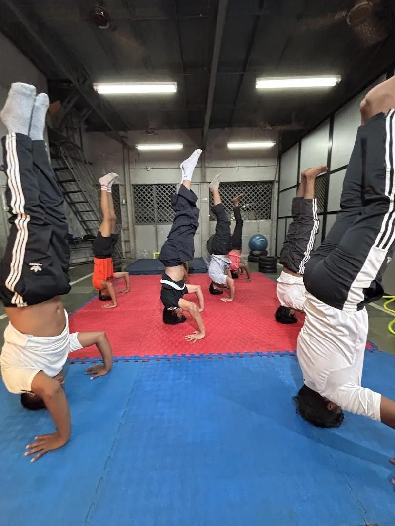 School Of Dance & Fitness — Dance in Vashi