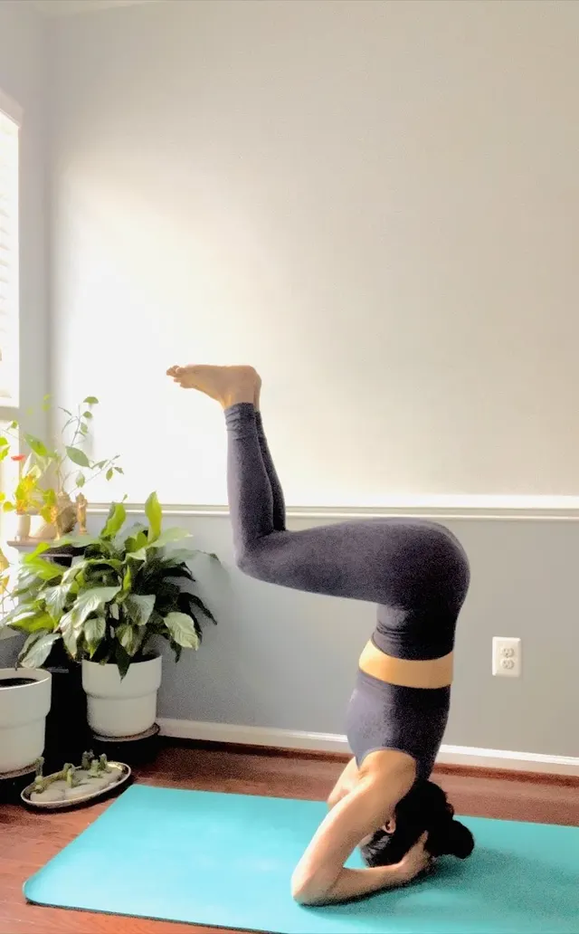 Shvasa — Yoga in Bellandur