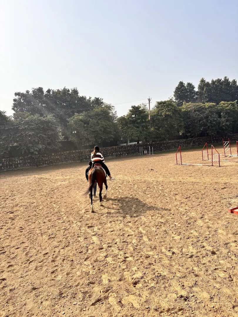 CanterWoods Equestrian Centre — Horse Riding in Baliawas