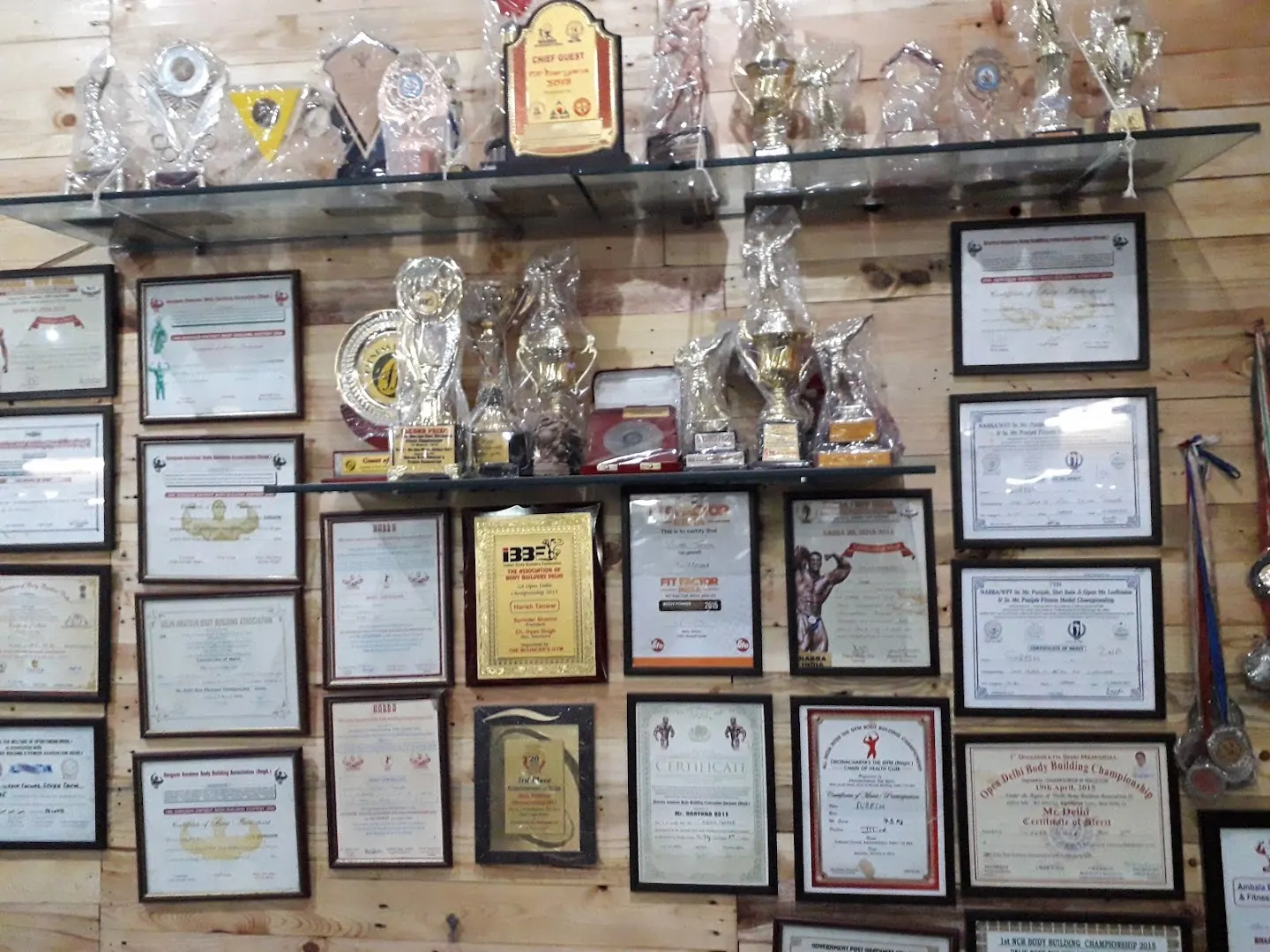 Physique First — Standard Gym in Sector 13, Gurugram