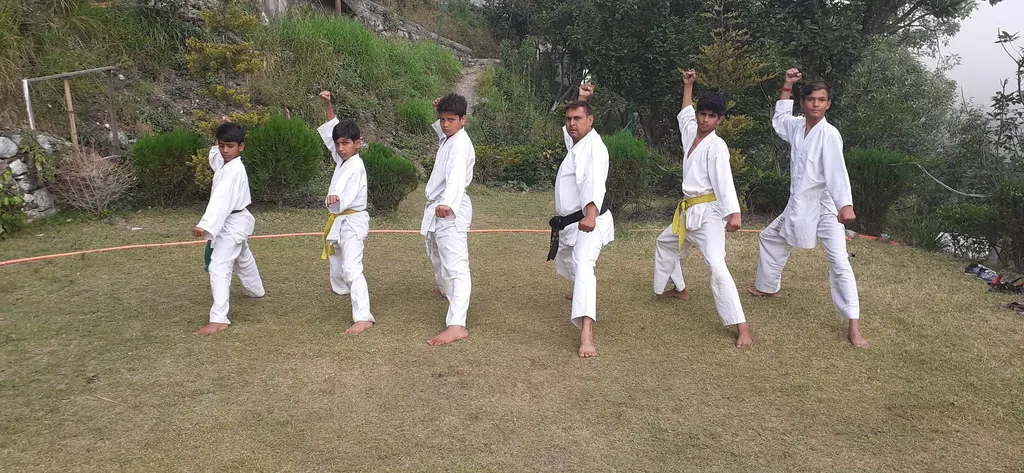 Ashish Karate Club and Fitness Centre — Martial Arts in Imt Manesar