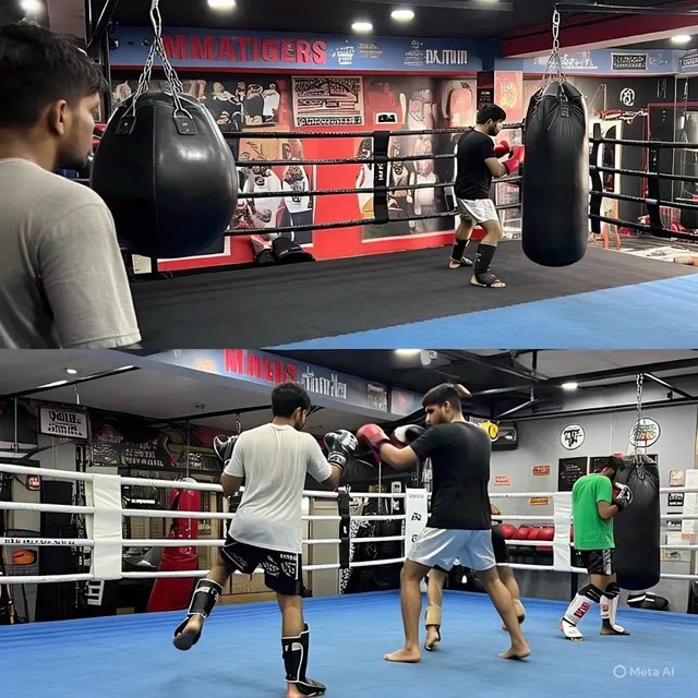 Mmatigersdelhi — Martial Arts in Subhash Nagar