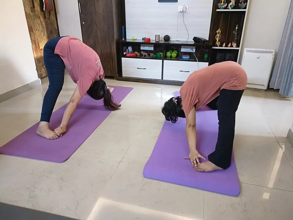Nirvaan Yoga by Lalita — Yoga in Sector 137