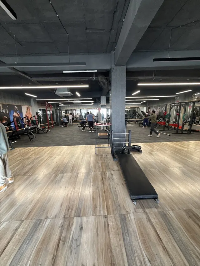 Hype The Gym Sector - 37D