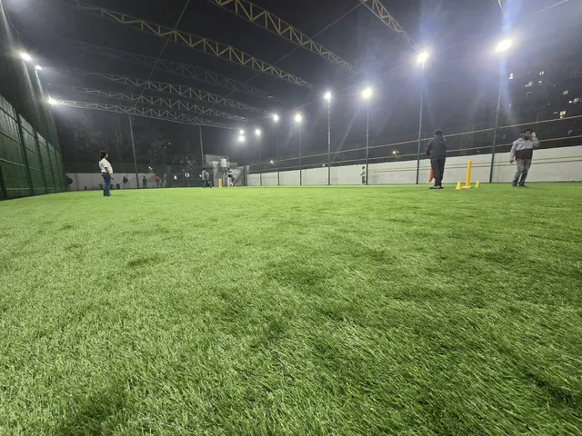Play-Yard — Cricket in Palam
