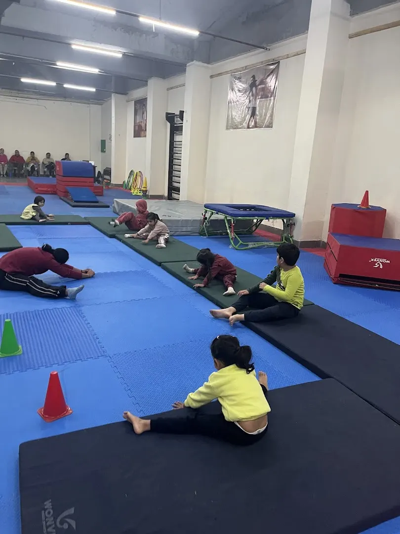 Gravity gymnastics academy — Gymnastics in Sector 105