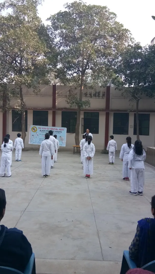 Black Panther Karate -Tai - Kyu - Do Martial Arts — Martial Arts in Vaishali