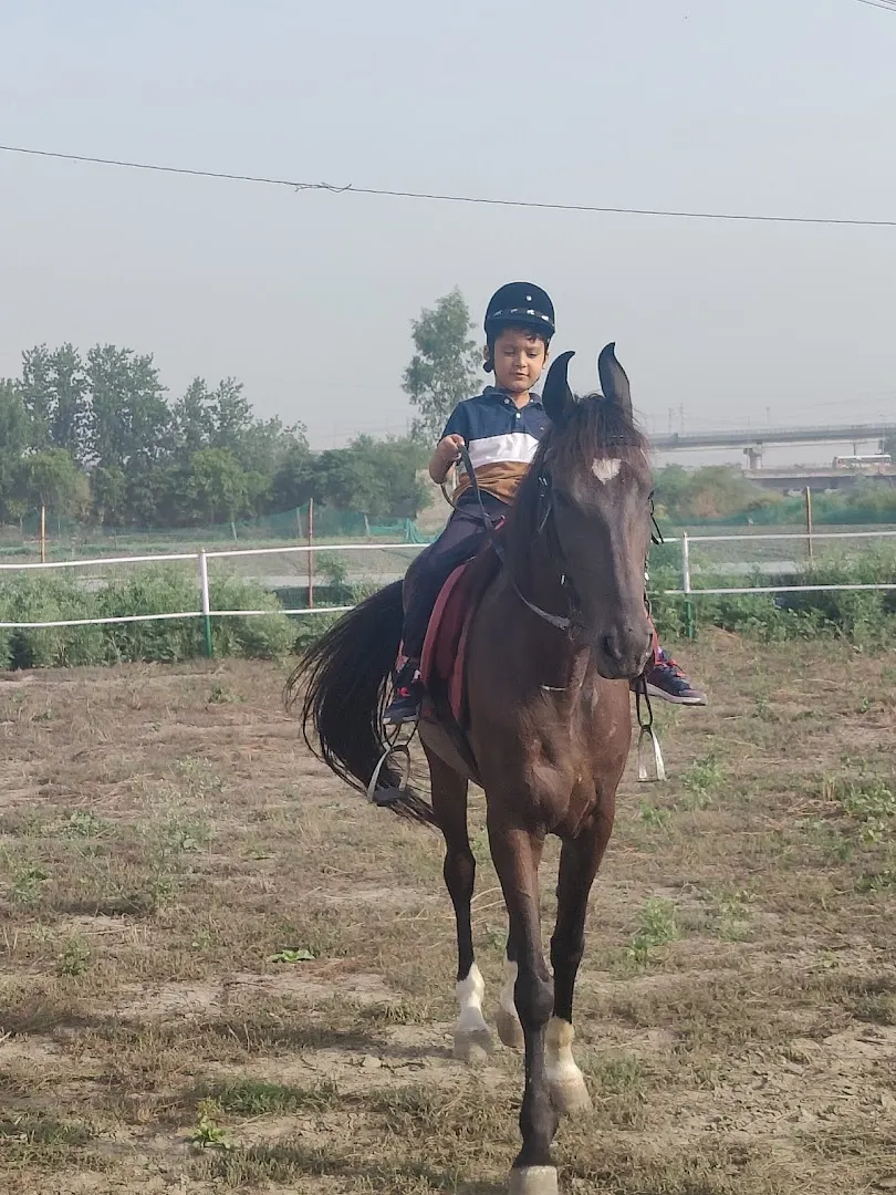 Peter's Ranch — Horse Riding in Sector 1-18