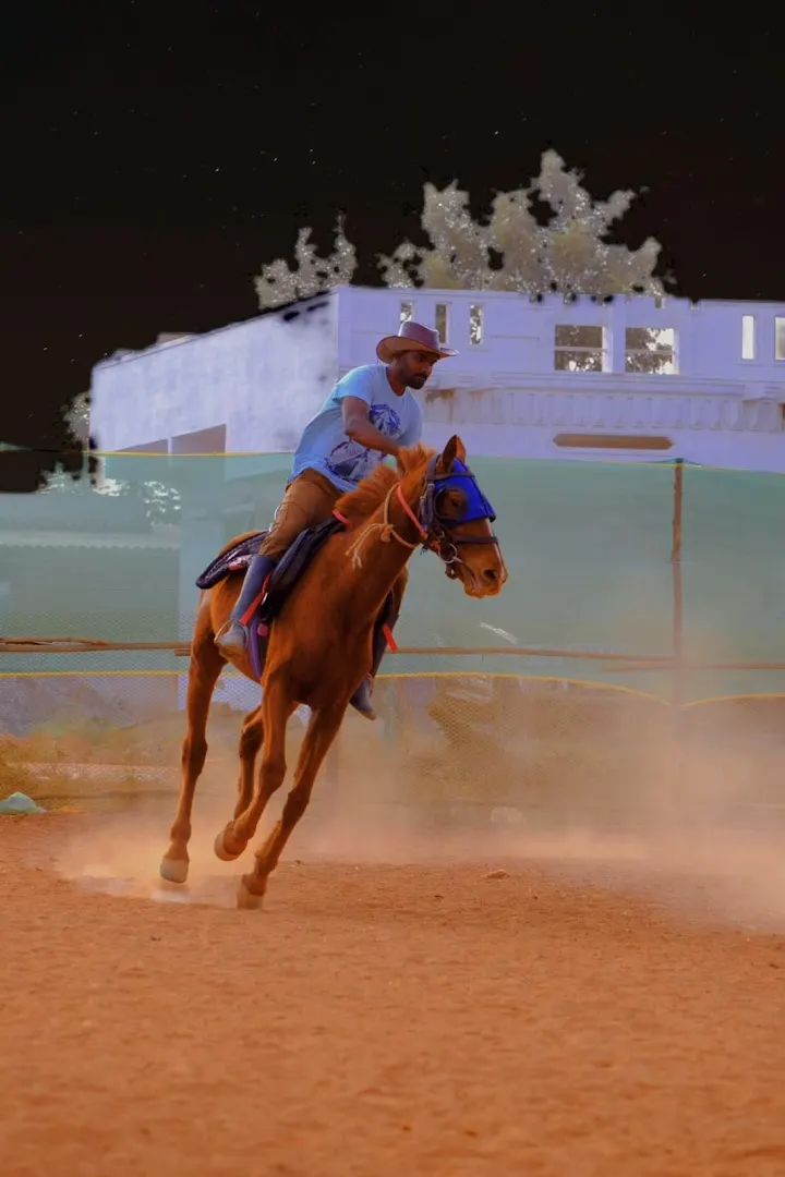 SGP Horseback Riding School — Horse Riding in Hennur Gardens