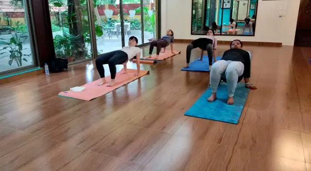 Krishna Wellness Yoga & Cultural Centre — Yoga in Malleshwaram