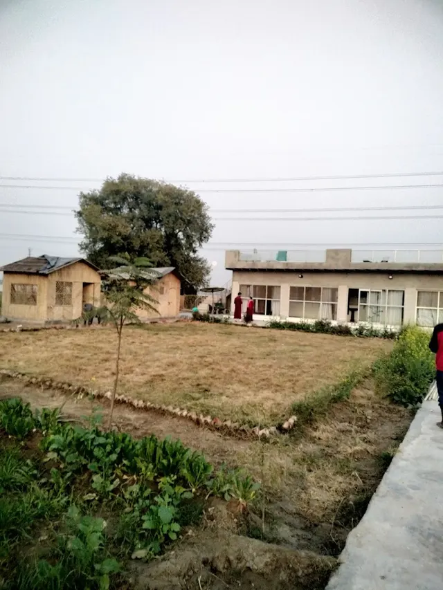 Osho Madhushala — Yoga in Narela