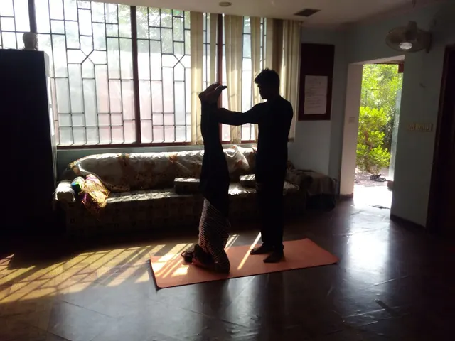 Pranava Yoga Therapy Classes — Yoga in Sector 76