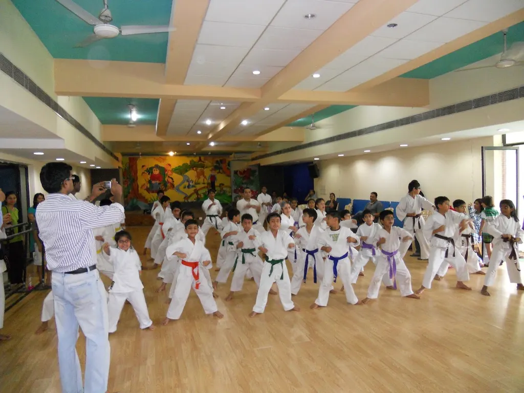 Kaishogun Martial Arts Sports Academy — Martial Arts in Sector 43