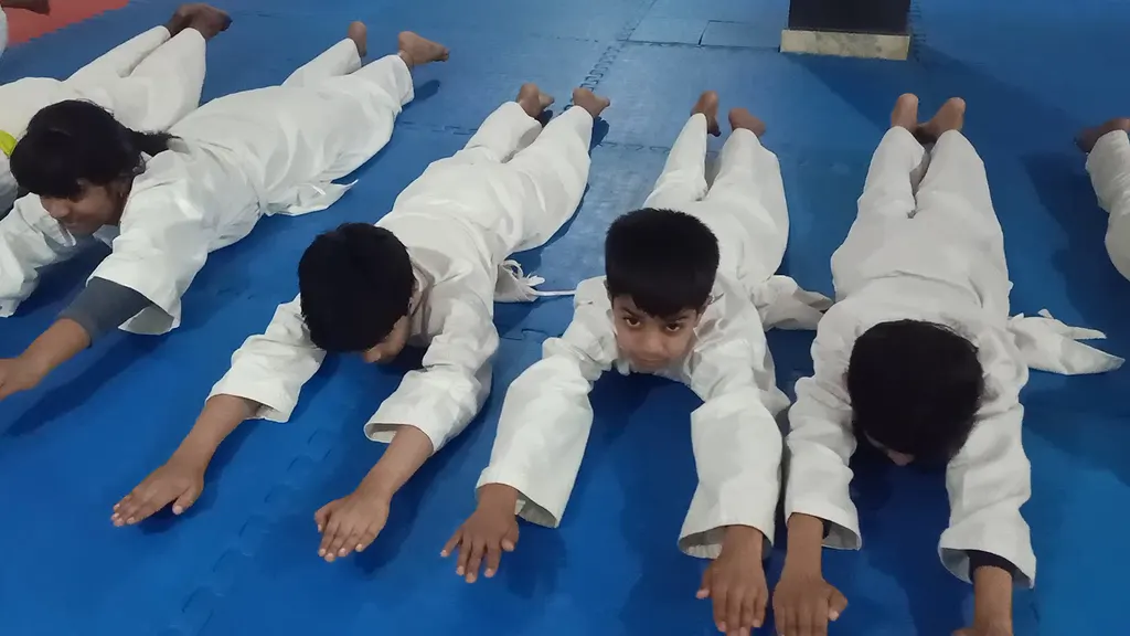 Sanshinkan Karate — Martial Arts in Sector 24